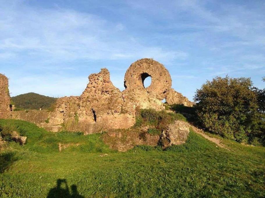 Gite Le Bambou Jama Aspach-le-Haut Экстерьер фото
