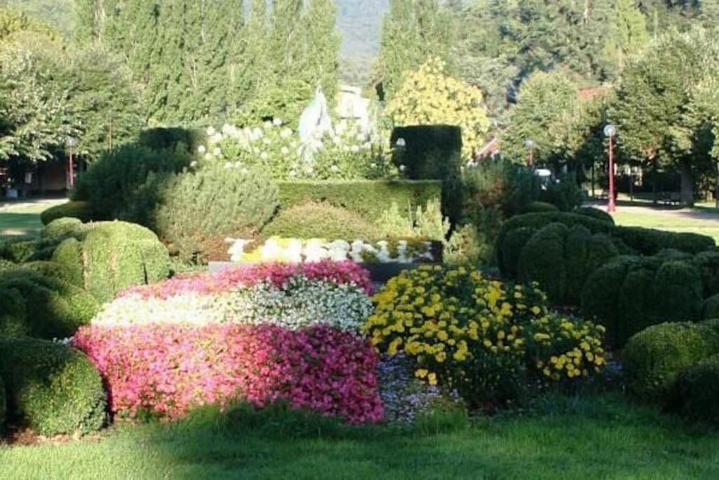 Gite Le Bambou Jama Aspach-le-Haut Экстерьер фото